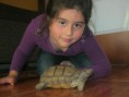 /album/mis-kerubines-2014/a10449520-10203226186798626-7003977284138054341-n-jpg1/